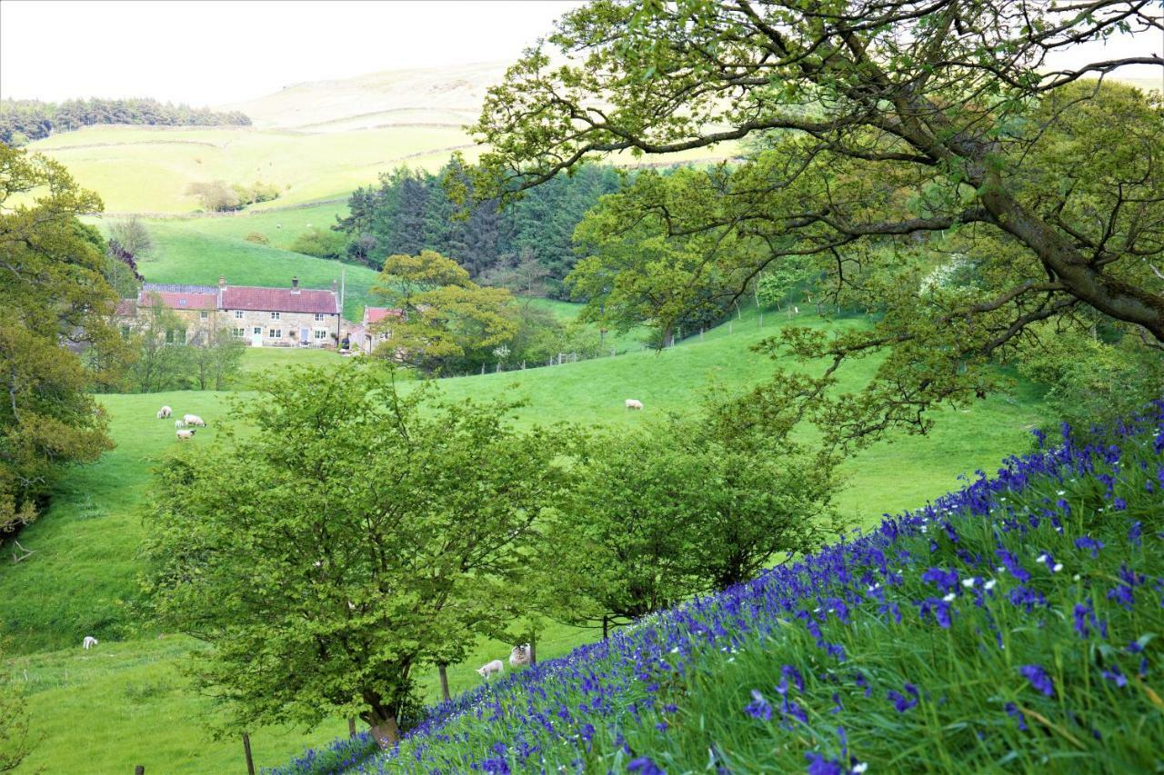Bluebells Cottage Chop Gate Exteriör bild