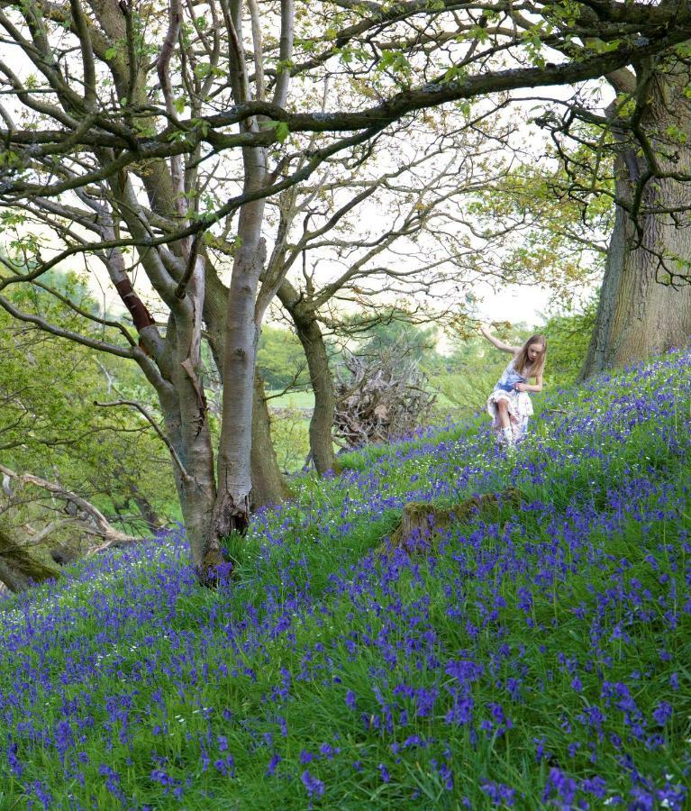 Bluebells Cottage Chop Gate Exteriör bild